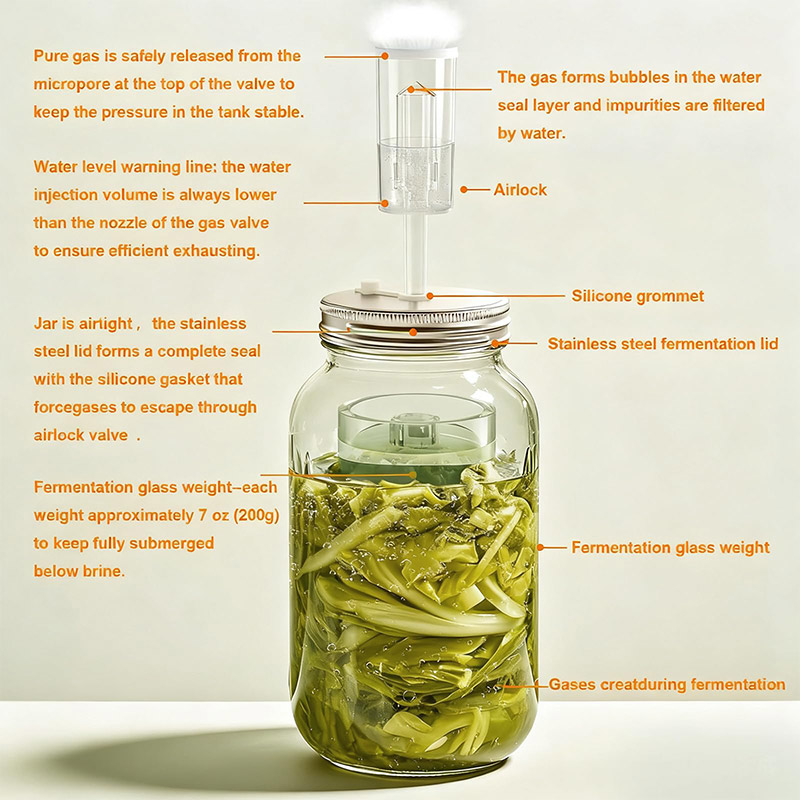 Fermentation Crock - Набор для ферментации: стеклянные банки Мейсона